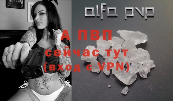 спиды Надым