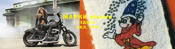 твердый Нефтекумск