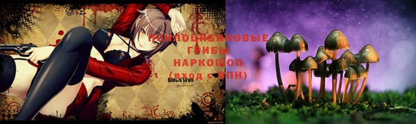 прущий лед Нея