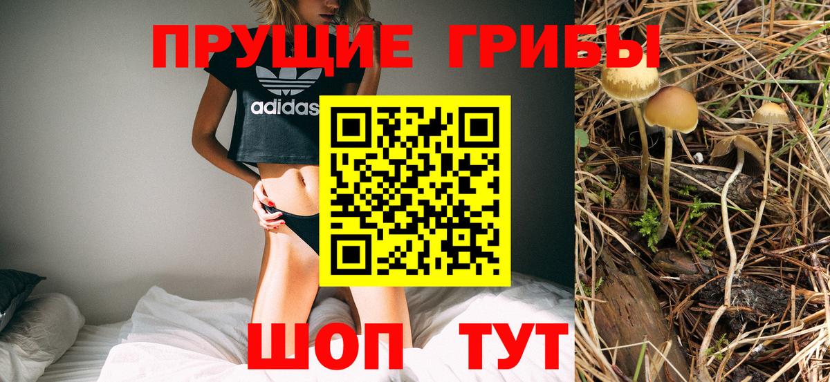 Галлюциногенные грибы Cubensis  Вход с VPN  Рязань 