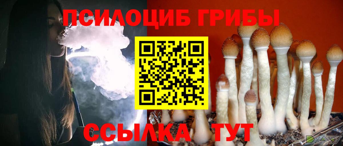 Галлюциногенные грибы прущие грибы Рязань